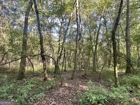 2170 Us Hwy 257, Pineview, GA 31071 photo 12
