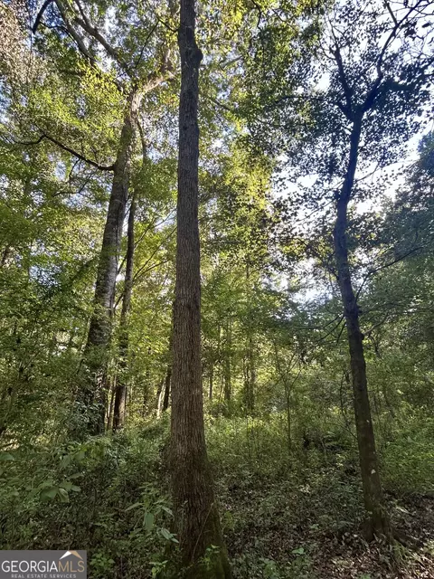 2170 Us Hwy 257, Pineview, GA 31071 photo 3