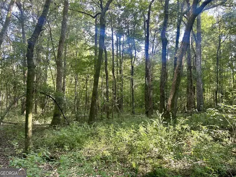2170 Us Hwy 257, Pineview, GA 31071 photo 6