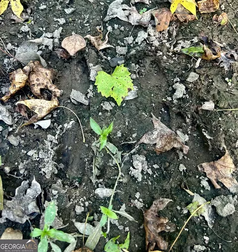2170 Us Hwy 257, Pineview, GA 31071 photo 11