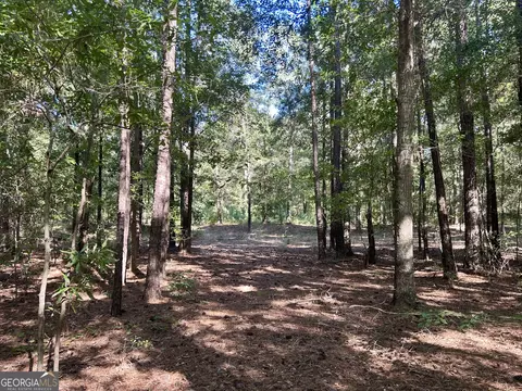 2170 Us Hwy 257, Pineview, GA 31071 photo 15
