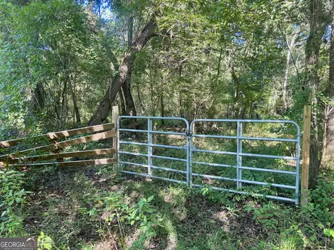 2170 Us Hwy 257, Pineview, GA 31071 photo 4