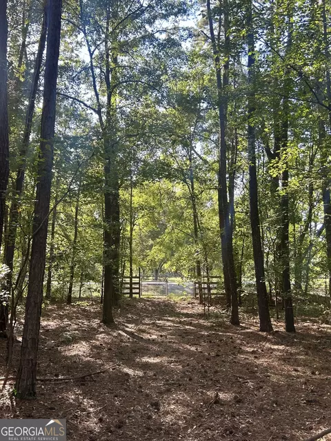 2170 Us Hwy 257, Pineview, GA 31071 photo 2