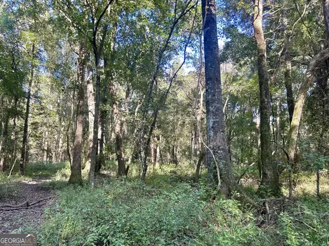 2170 Us Hwy 257, Pineview, GA 31071 photo 8