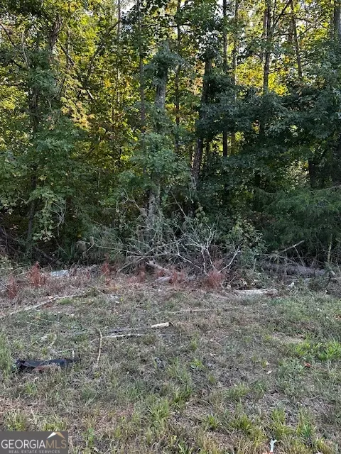 1103 W Adrian Cir SW, Conyers, GA 30094