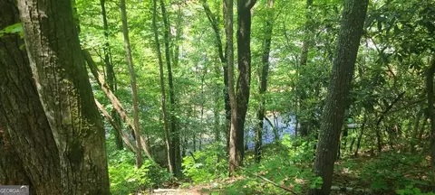 0 Ber Weg, Helen, GA 30545