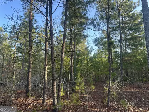 4 78 Acres Horne Rd, Roberta, GA 31078