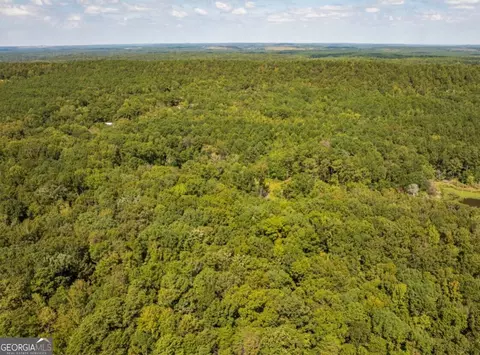 0 Bogan Rd, Mc Calla, AL 35111 photo 5