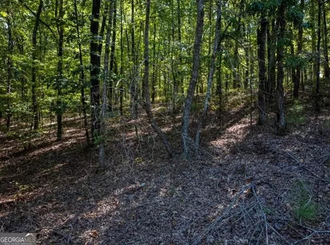 0 Bogan Rd, Mc Calla, AL 35111 photo 18