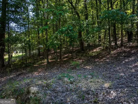 0 Bogan Rd, Mc Calla, AL 35111 photo 12