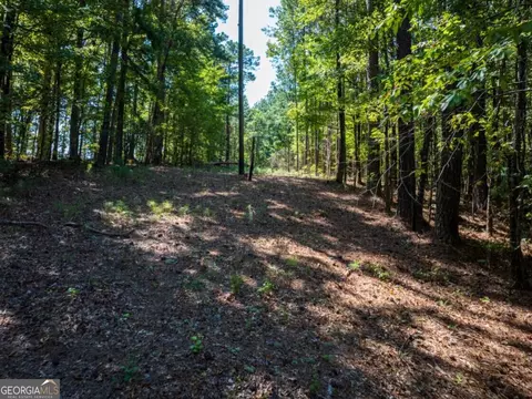 0 Bogan Rd, Mc Calla, AL 35111 photo 16