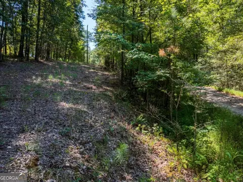 0 Bogan Rd, Mc Calla, AL 35111 photo 14