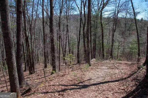 0 Round Top #43B, Clayton, GA 30525