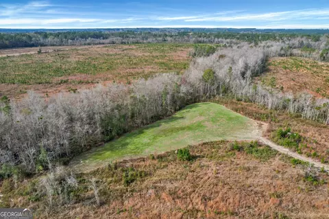 0 Ernest Carter Rd, Hazlehurst, GA 31539
