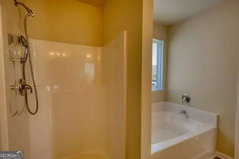Bath - 11224 Aliyah Dr, Hampton, GA 30228 photo 1 of 2