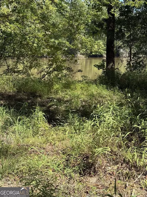 0 Charles Ln, Springfield, GA 31329