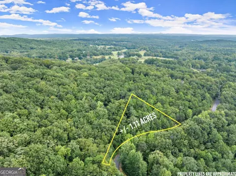 0 Yates Cir #358, Clarkesville, GA 30523 photo 8