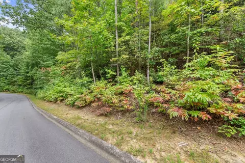 0 Yates Cir #358, Clarkesville, GA 30523 photo 3