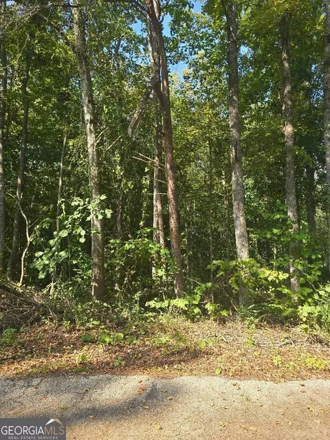 130 Lakeview Way, Martin, GA 30557