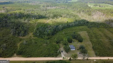 Tract 2 Pine Cone Trail, Mershon, GA 31551