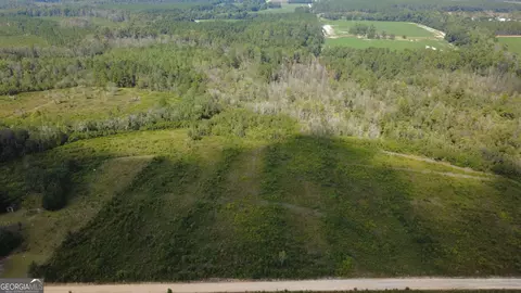 Tract 3 Pine Cone Trail, Mershon, GA 31551