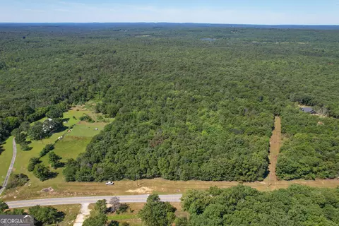 38 Acres On Ga Hwy 157, Menlo, GA 30731