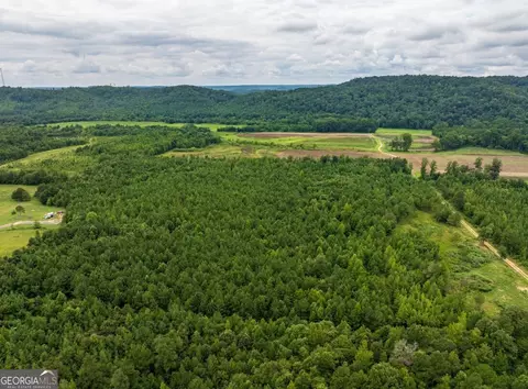 0 Double Pond Trl #TRACT 1, Hayden, AL 35079