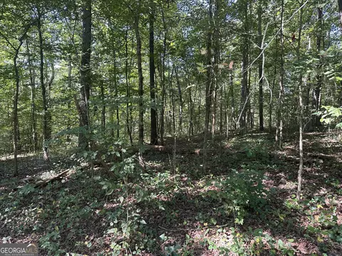 24 Tomlin Rd, Commerce, GA 30530 photo 7