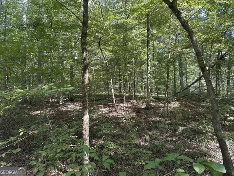 24 Tomlin Rd, Commerce, GA 30530 photo 6