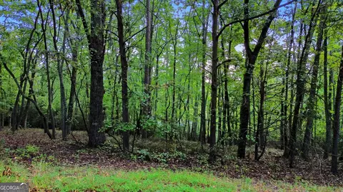 0 Pinecrest Rd #LOT 2, Clarkesville, GA 30523 photo 4