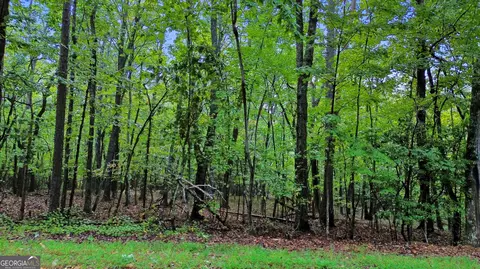 0 Pinecrest Rd #LOT 2, Clarkesville, GA 30523 photo 5