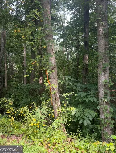 0 Crooked Trl, Gainesville, GA 30506