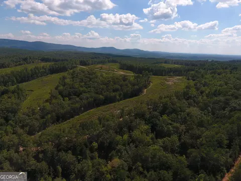 0 Johnson Mountain Rd #7401-E, Rydal, GA 30171 photo 8