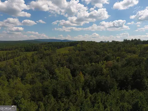 0 Johnson Mountain Rd #7401-E, Rydal, GA 30171 photo 7
