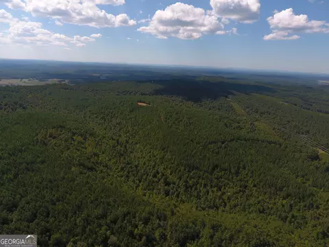 0 Johnson Mountain Rd #7401-E, Rydal, GA 30171 photo 11