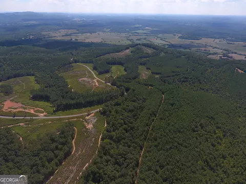 0 Johnson Mountain Rd #7401-E, Rydal, GA 30171 photo 18