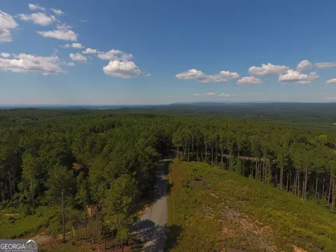 0 Johnson Mountain Rd #7401-E, Rydal, GA 30171 photo 3