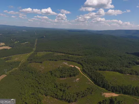 0 Johnson Mountain Rd #7401-E, Rydal, GA 30171 photo 12