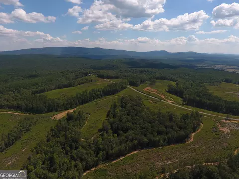 0 Johnson Mountain Rd #7401-E, Rydal, GA 30171 photo 21