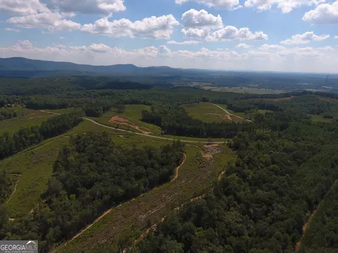 0 Johnson Mountain Rd #7401-E, Rydal, GA 30171 photo 20