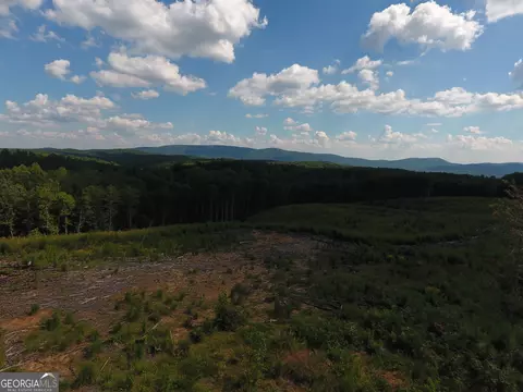 0 Johnson Mountain Rd #7401-E, Rydal, GA 30171 photo 4