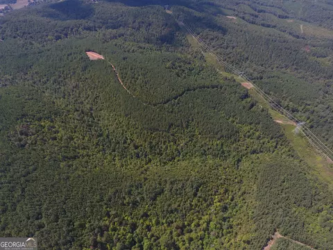 0 Johnson Mountain Rd #7401-E, Rydal, GA 30171 photo 19