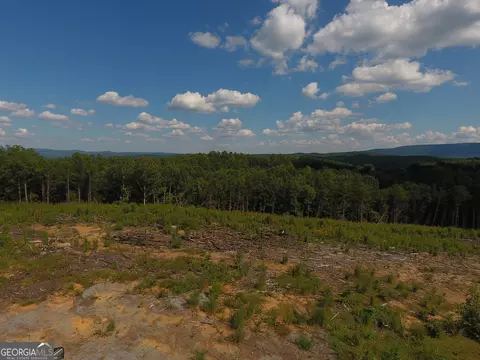 0 Johnson Mountain Rd #7401-E, Rydal, GA 30171 photo 6