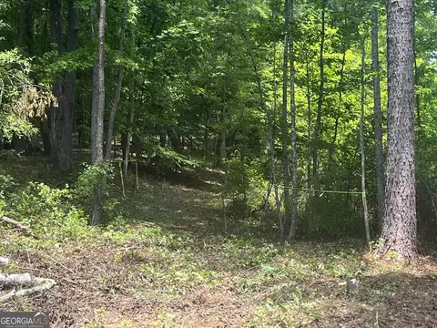 0 Spiva Rd, Temple, GA 30179 photo 7