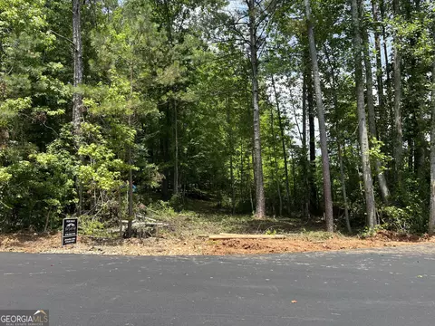 0 Spiva Rd, Temple, GA 30179 photo 6