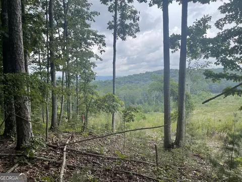 0 White Oak Rd #( 4), Summerville, GA 30747