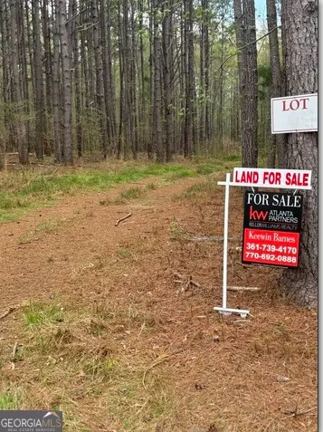 556 Benton Rd, Covington, GA 30014