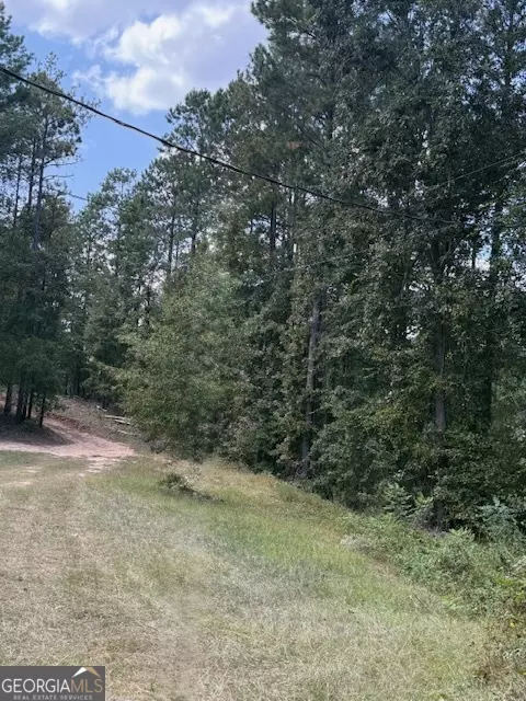 354 Kitchens Rd SW, Haddock, GA 31033 photo 4