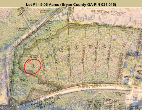 lot1 Charles Shuman Rd, Pembroke, GA 31321