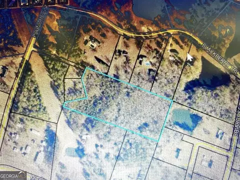 0 Dogwood Ln, Swainsboro, GA 30401